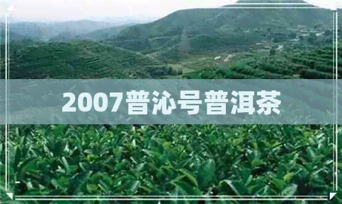 2007普沁号普洱茶