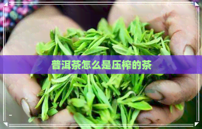 普洱茶怎么是压榨的茶