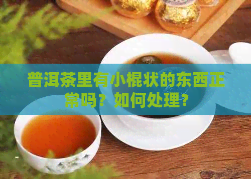 普洱茶里有小棍状的东西正常吗？如何处理？