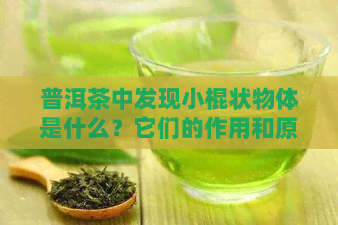 普洱茶中发现小棍状物体是什么？它们的作用和原因解析