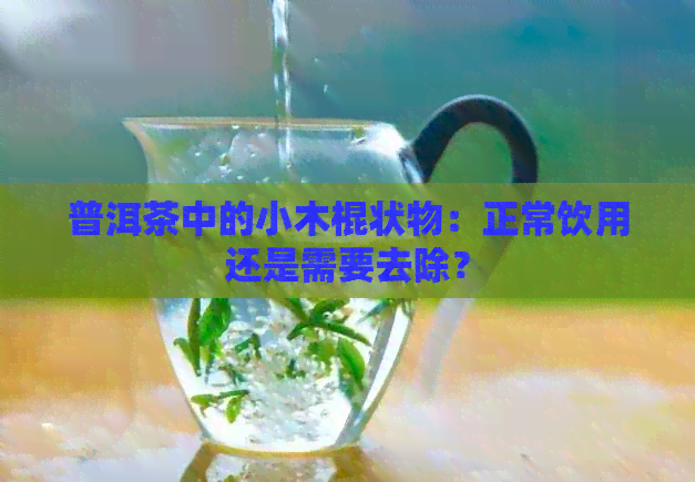 普洱茶中的小木棍状物：正常饮用还是需要去除？