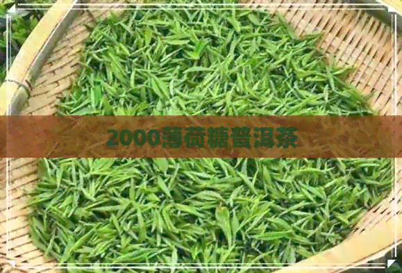 2000薄荷糖普洱茶