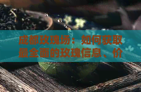 成都玫瑰场：如何获取最全面的玫瑰信息、价格、购买渠道及种植技巧？