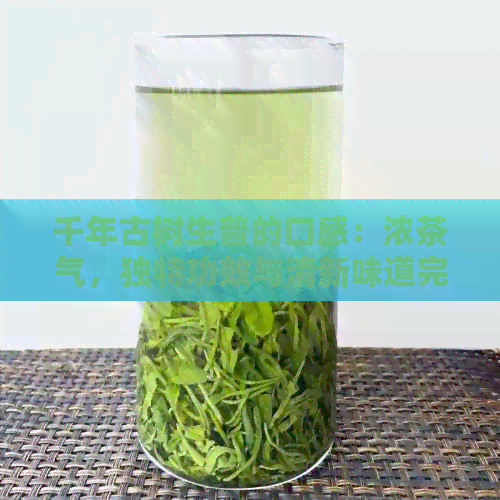 千年古树生普的口感：浓茶气，独特功效与清新味道完美融合