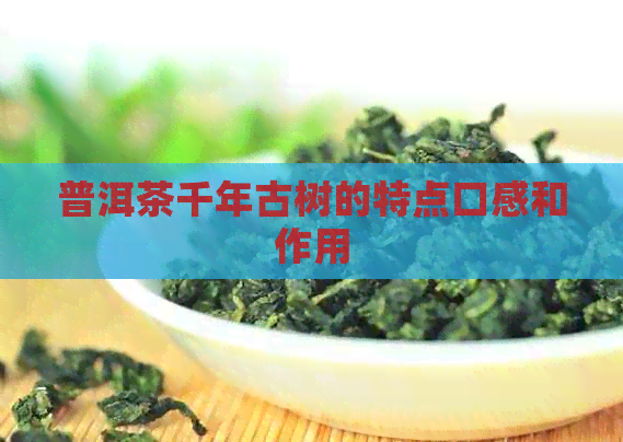 普洱茶千年古树的特点口感和作用