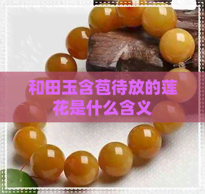 和田玉含苞待放的莲花是什么含义