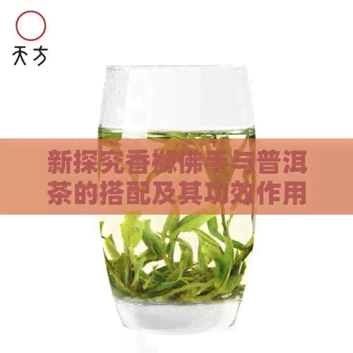 新探究香橼佛手与普洱茶的搭配及其功效作用