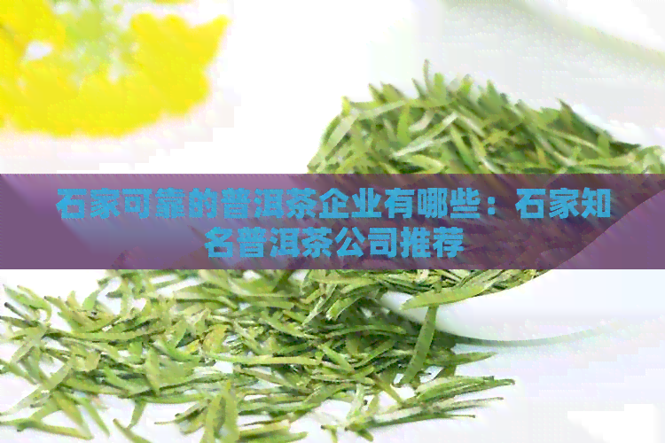 石家可靠的普洱茶企业有哪些：石家知名普洱茶公司推荐