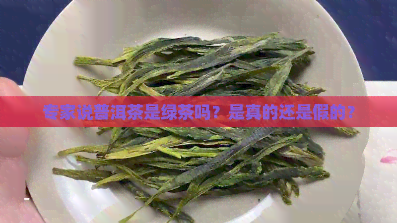 专家说普洱茶是绿茶吗？是真的还是假的？