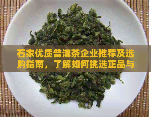 石家优质普洱茶企业推荐及选购指南，了解如何挑选正品与合理价格的普洱茶