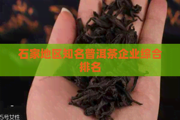 石家地区知名普洱茶企业综合排名