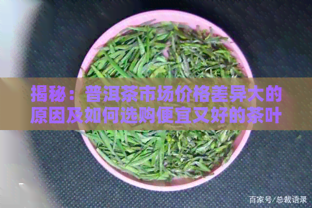 揭秘：普洱茶市场价格差异大的原因及如何选购便宜又好的茶叶