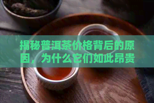 揭秘普洱茶价格背后的原因，为什么它们如此昂贵？