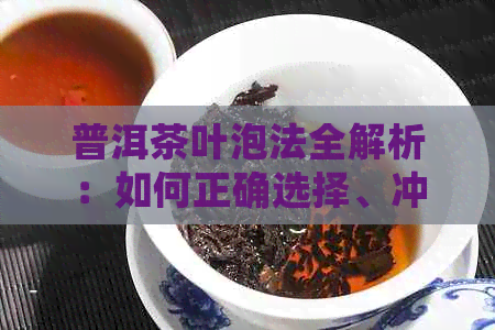 普洱茶叶泡法全解析：如何正确选择、冲泡和品鉴普洱茶？