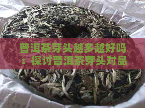 普洱茶芽头越多越好吗：探讨普洱茶芽头对品质的影响