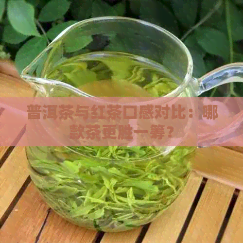 普洱茶与红茶口感对比：哪款茶更胜一筹？