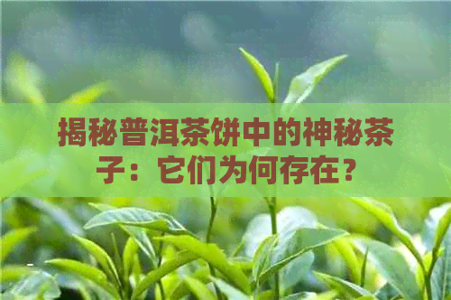 揭秘普洱茶饼中的神秘茶子：它们为何存在？