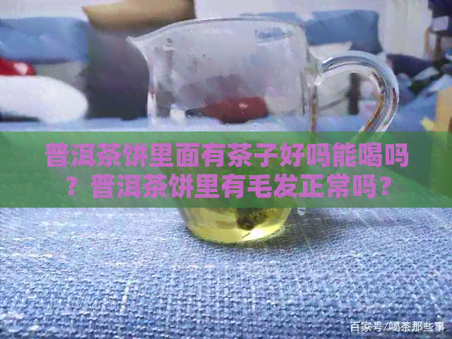 普洱茶饼里面有茶子好吗能喝吗？普洱茶饼里有毛发正常吗？