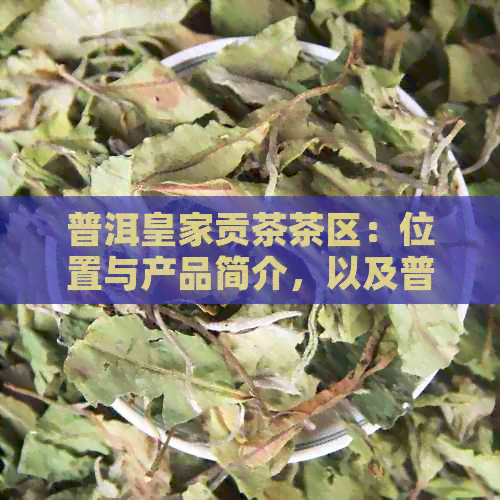 普洱皇家贡茶茶区：位置与产品简介，以及普洱皇家贡技茶业详情