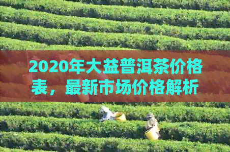 2020年大益普洱茶价格表，最新市场价格解析