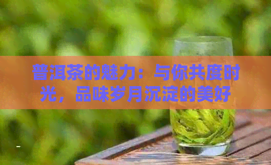 普洱茶的魅力：与你共度时光，品味岁月沉淀的美好