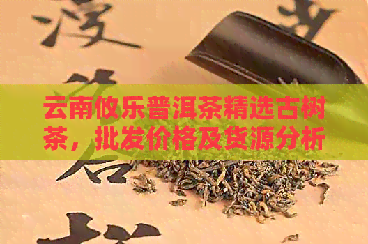 云南攸乐普洱茶精选古树茶，批发价格及货源分析