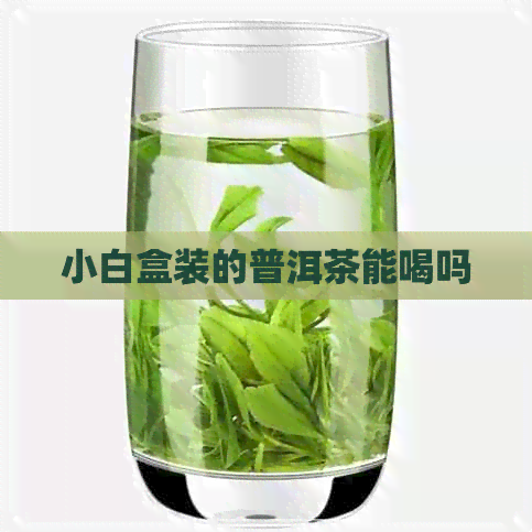 小白盒装的普洱茶能喝吗