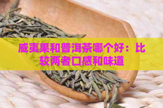 威夷果和普洱茶哪个好：比较两者口感和味道