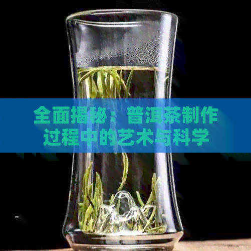 全面揭秘：普洱茶制作过程中的艺术与科学