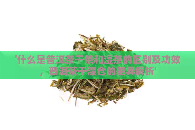 '什么是普洱茶干茶和湿茶的区别及功效，普洱茶干湿仓的差异解析'