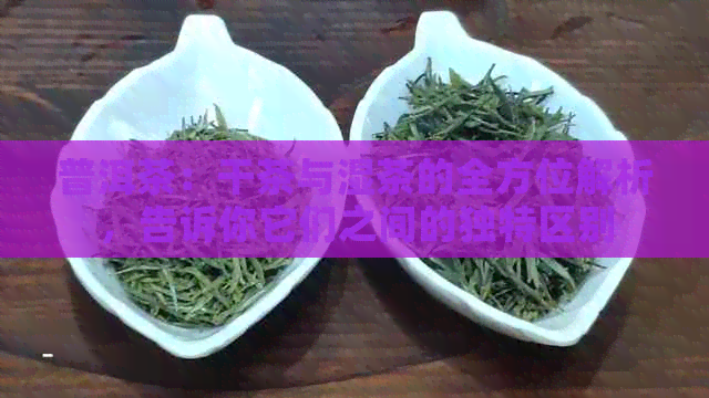 普洱茶：干茶与湿茶的全方位解析，告诉你它们之间的独特区别