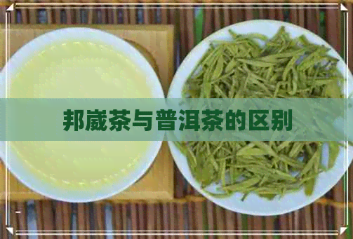 邦崴茶与普洱茶的区别