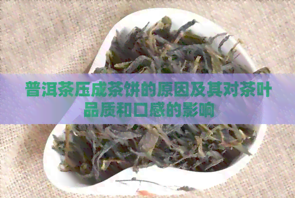 普洱茶压成茶饼的原因及其对茶叶品质和口感的影响