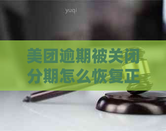 美团逾期被关闭分期怎么恢复正常使用与额度恢复