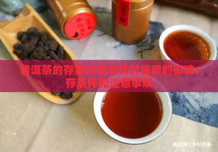 普洱茶的存放环境及其对品质的影响：存条件和注意事项