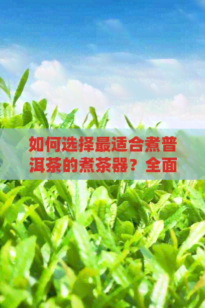 如何选择最适合煮普洱茶的煮茶器？全面指南解答您的疑问