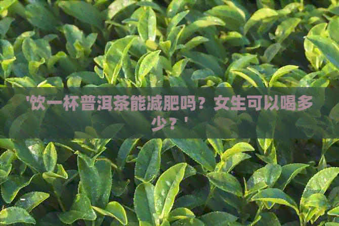 '饮一杯普洱茶能减肥吗？女生可以喝多少？'