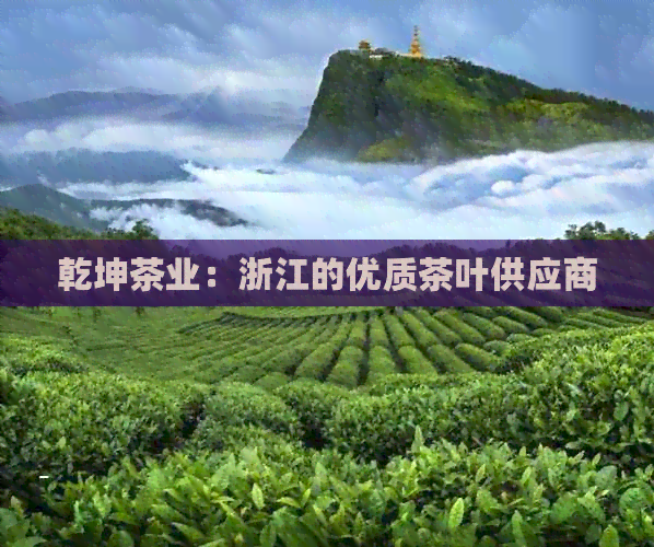 乾坤茶业：浙江的优质茶叶供应商