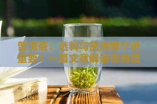 普洱茶：选料与品质哪个更重要？一篇文章解答你的疑惑