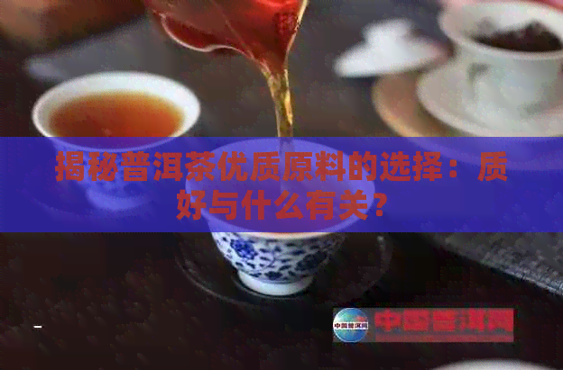 揭秘普洱茶优质原料的选择：质好与什么有关？