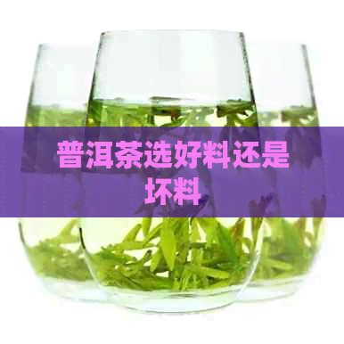 普洱茶选好料还是坏料