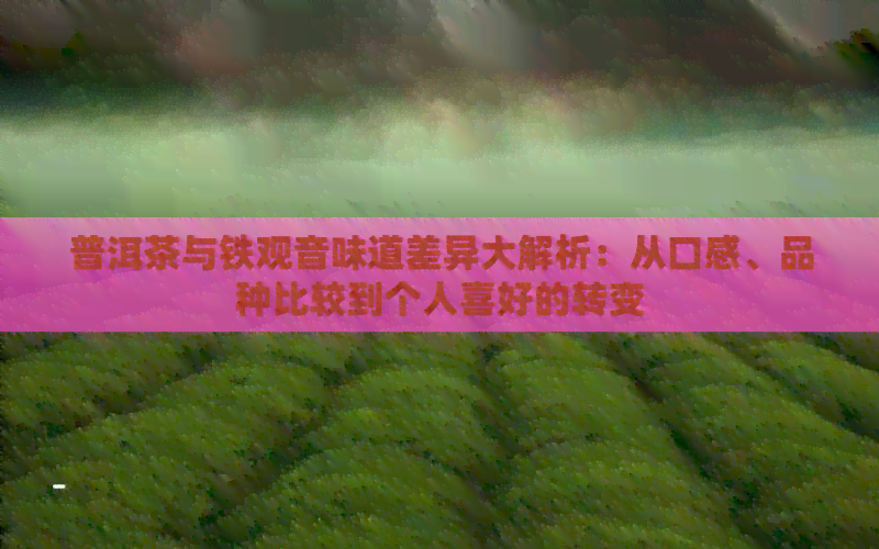 普洱茶与铁观音味道差异大解析：从口感、品种比较到个人喜好的转变