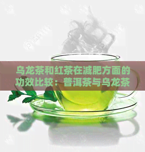 乌龙茶和红茶在减肥方面的功效比较：普洱茶与乌龙茶的差异