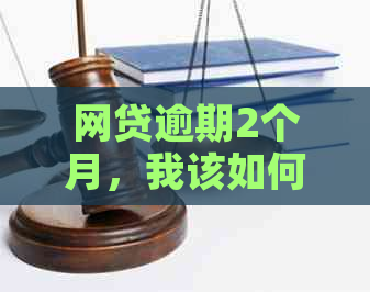 网贷逾期2个月，我该如何解决还款困境？可能的解决方案和建议