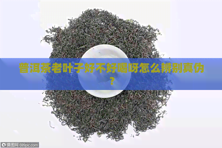 普洱茶老叶子好不好喝呀怎么辨别真伪？