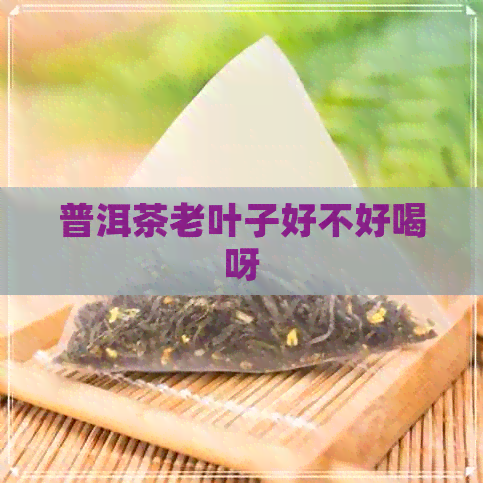 普洱茶老叶子好不好喝呀