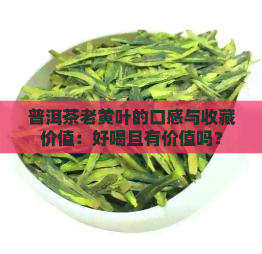 普洱茶老黄叶的口感与收藏价值：好喝且有价值吗？