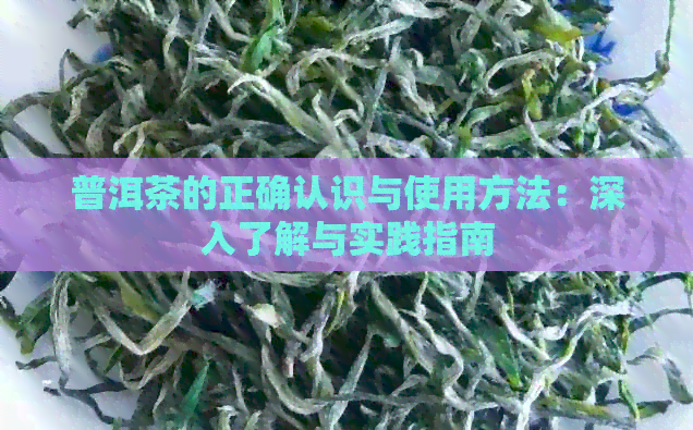 普洱茶的正确认识与使用方法：深入了解与实践指南