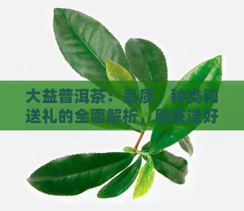 大益普洱茶：品质、种类和送礼的全面解析，朋友送好不好？