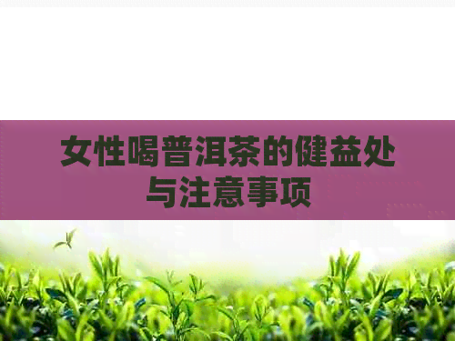 女性喝普洱茶的健益处与注意事项